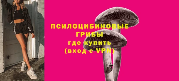 амф Краснослободск