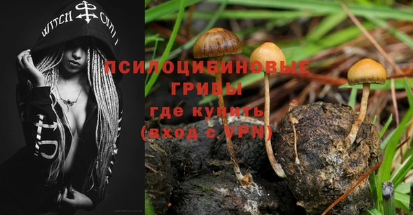 амф Краснослободск