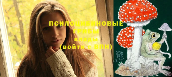 мет Кукмор