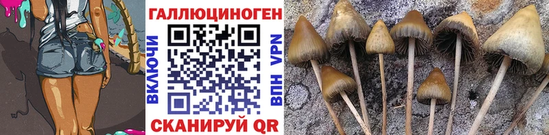 Псилоцибиновые грибы MAGIC MUSHROOMS  где можно купить наркотик  Тихорецк 