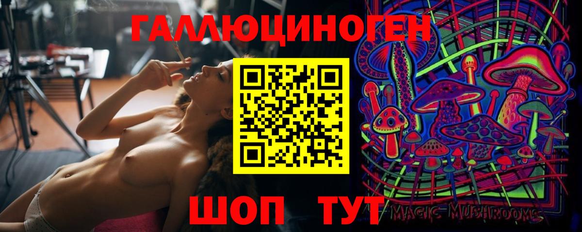 Галлюциногенные грибы Psilocybe  Вход с VPN  Тихорецк 