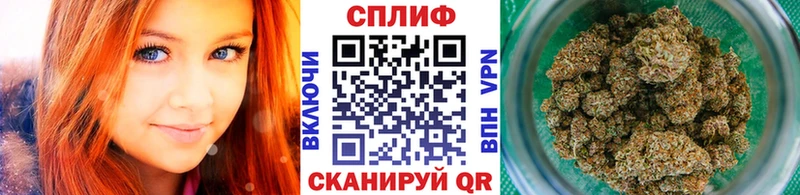 продажа наркотиков Тихорецк Марихуана OG Kush
